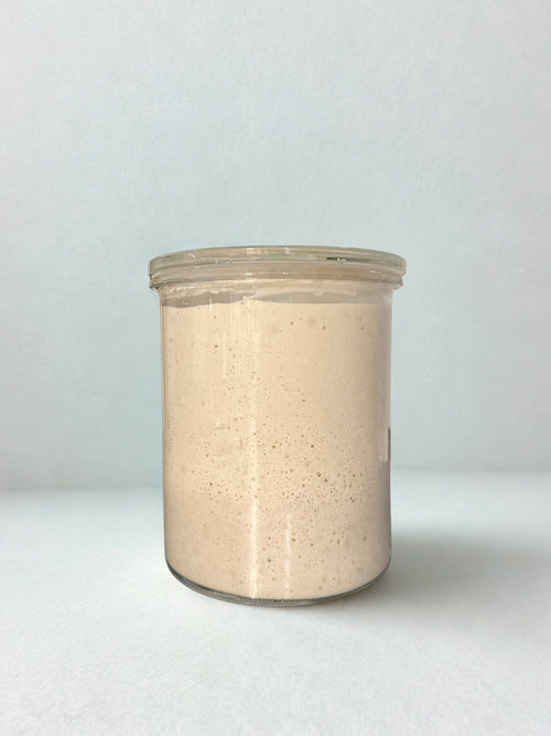 Lulu Weck Sourdough Starter
